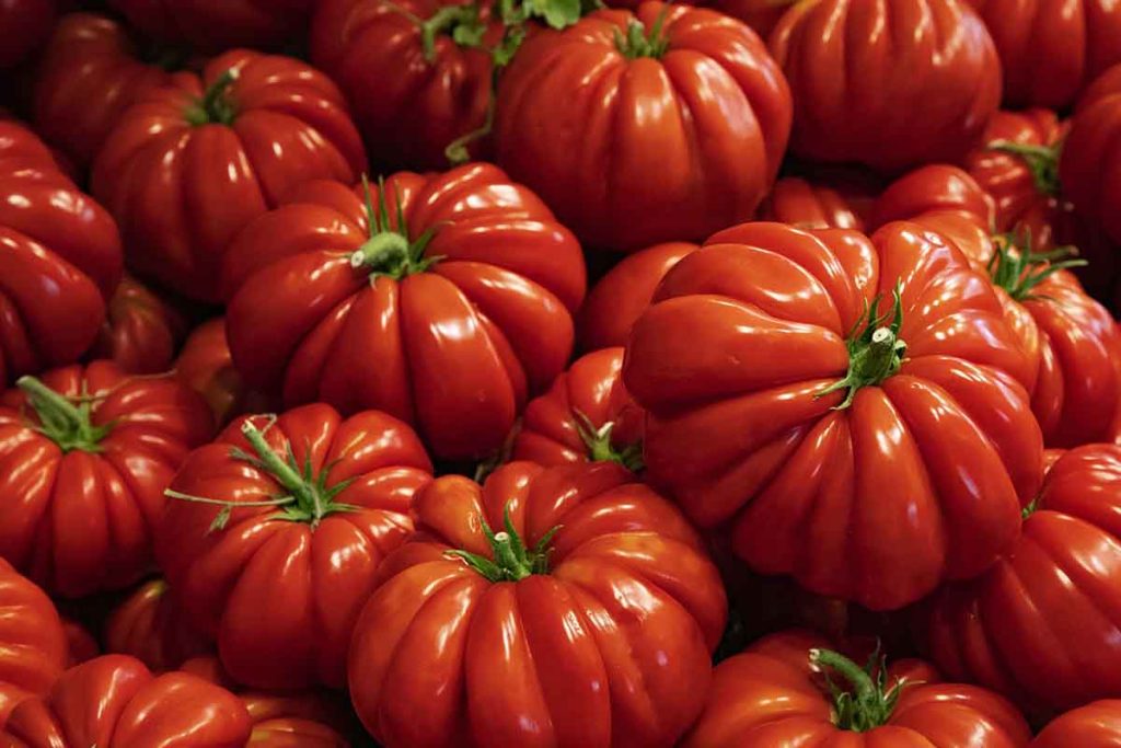 Pomodoro di Parma